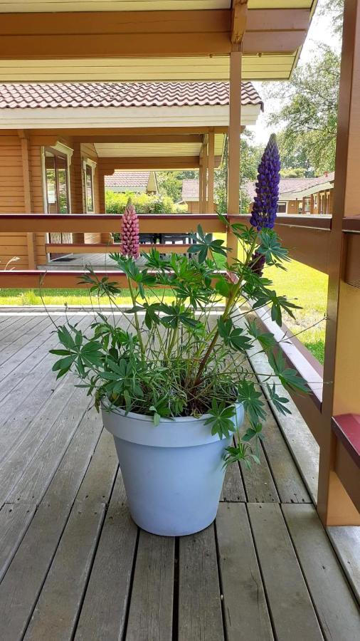 Lupine Lodge Gramsbergen Esterno foto